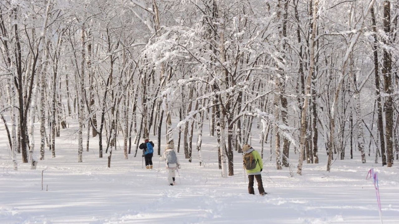 Photo of Others in Tsurui