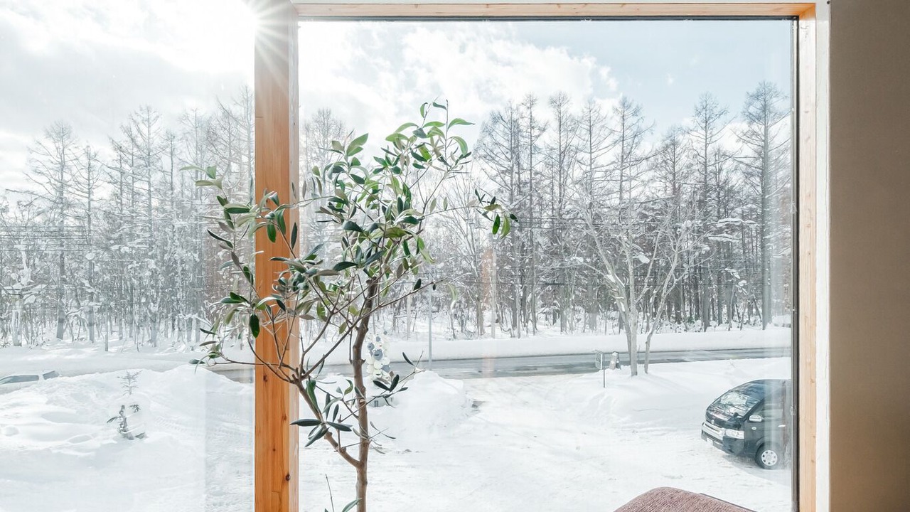 Photo of Others in Niseko