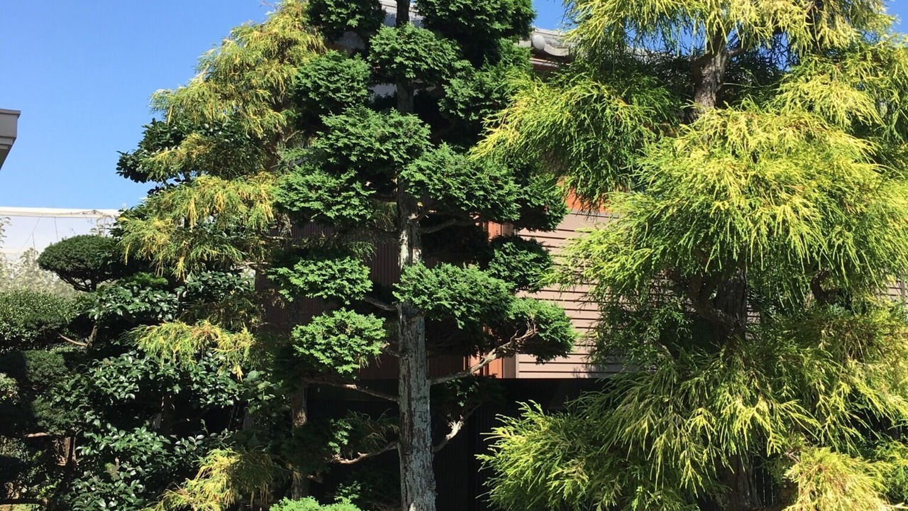 Photo of Outdoor in Kamagaya
