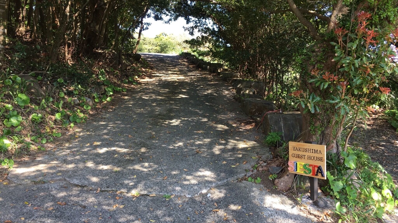 Photo of Others in Yakushima