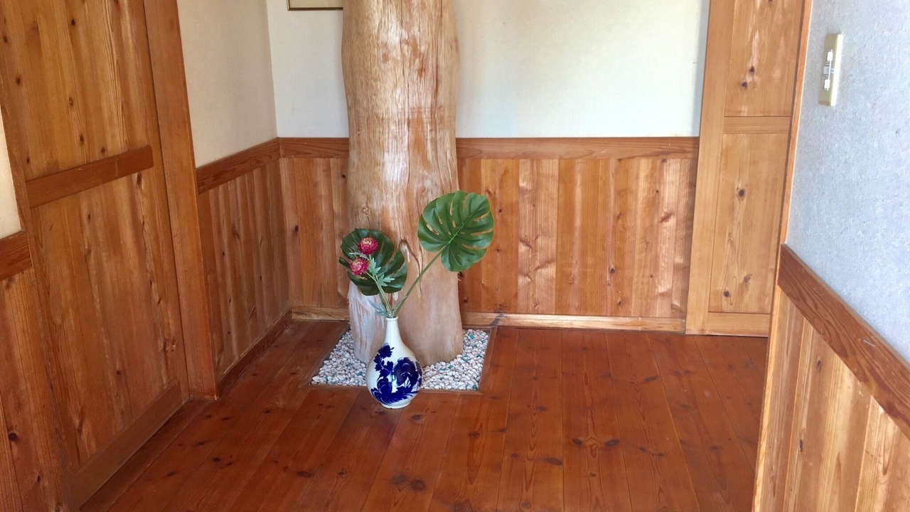 Photo of Others in Yakushima