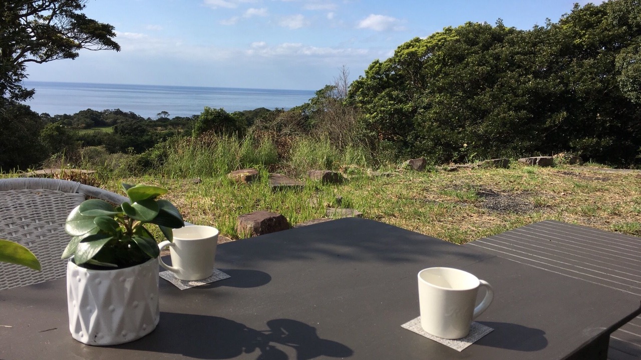 Photo of Others in Yakushima