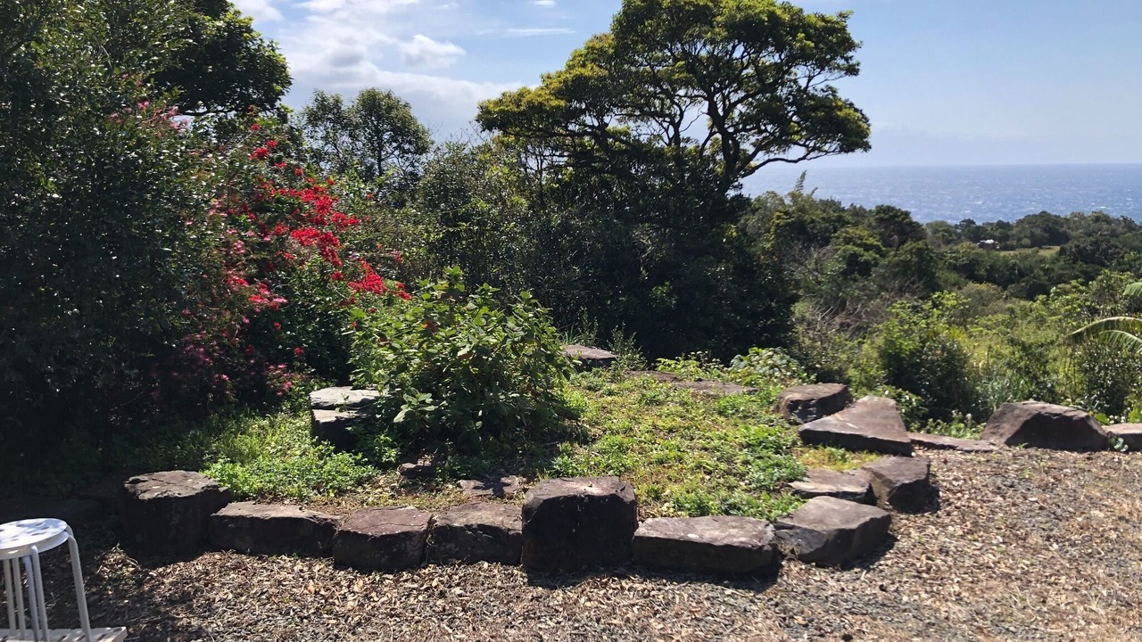 Photo of Outdoor in Yakushima