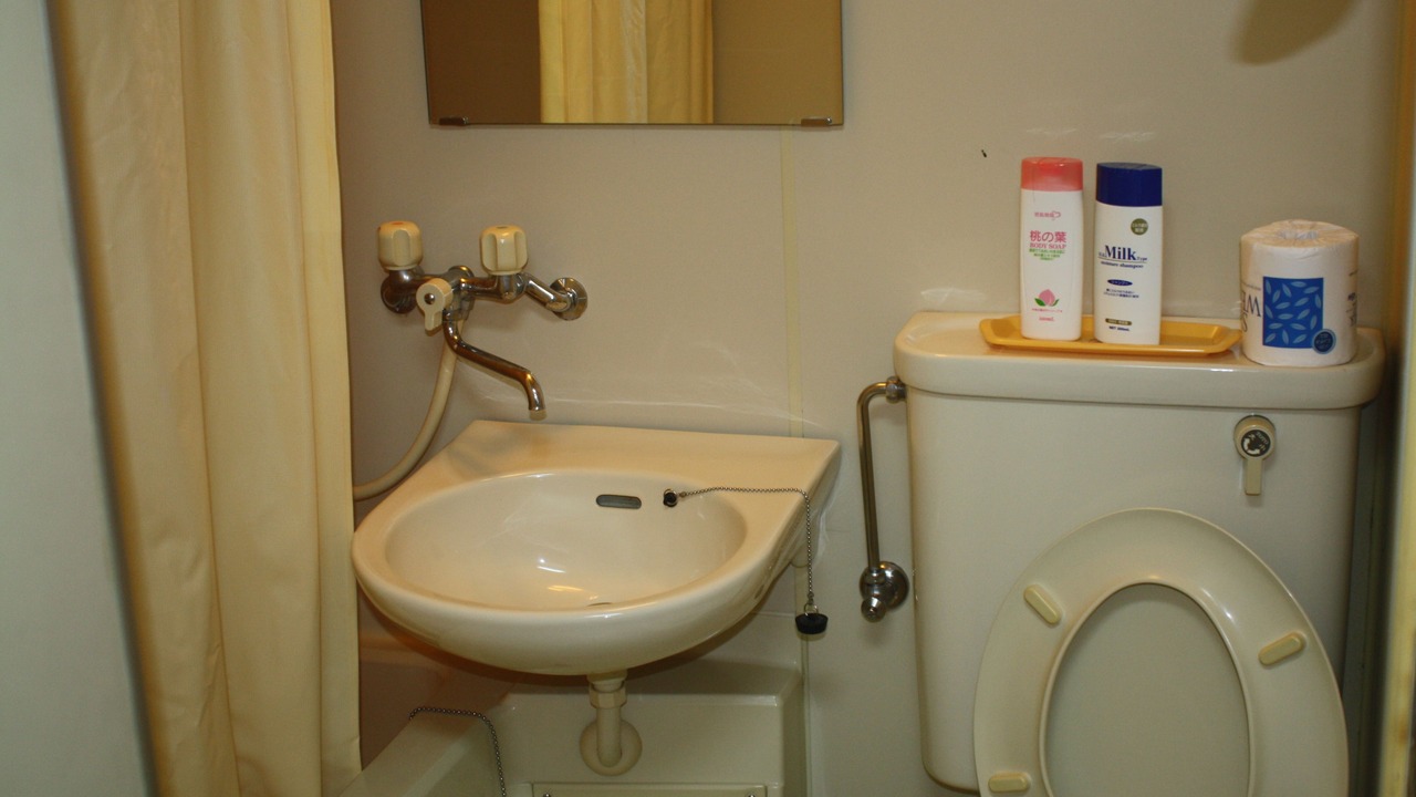 Photo of Bathroom in Iimori