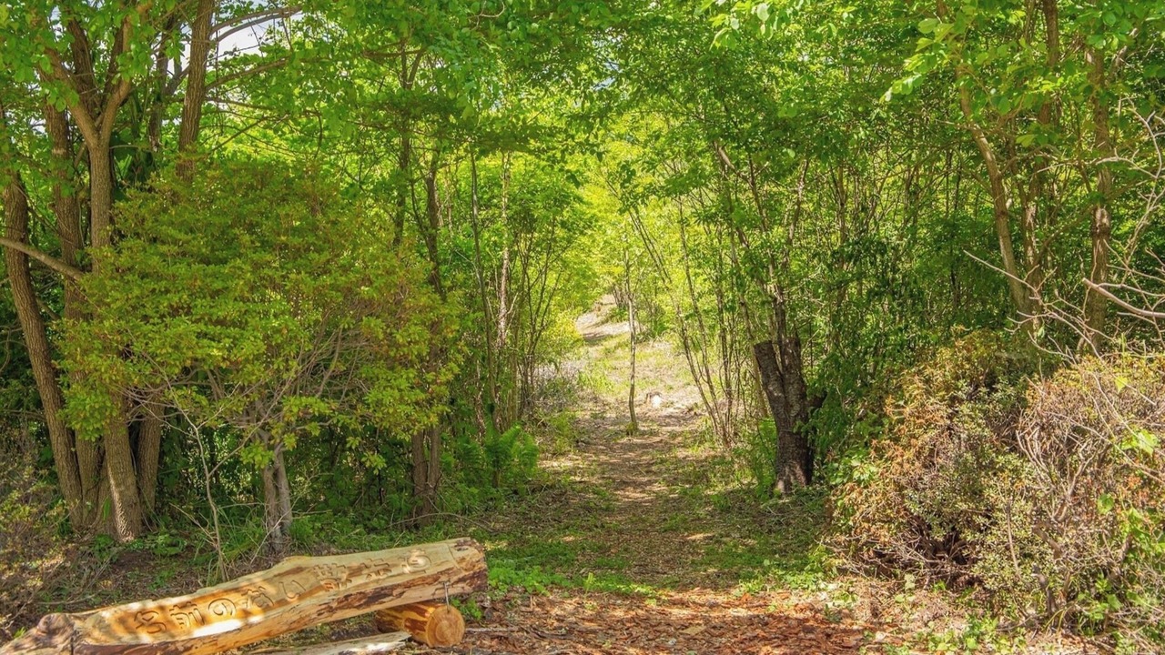 Photo of Outdoor in Nobeyama