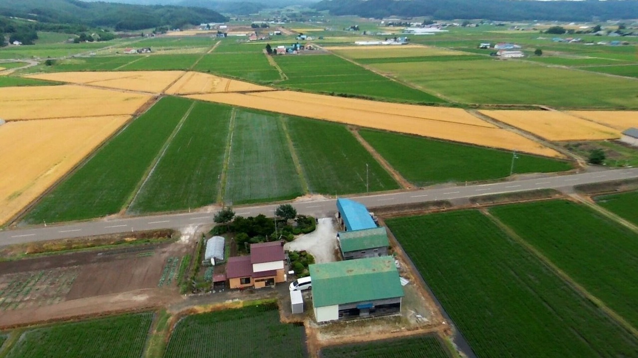 Photo of Outdoor in Sorachi-gun