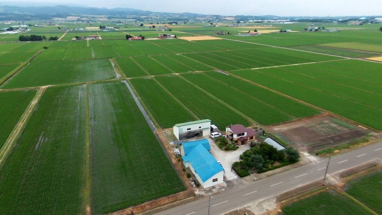 Photo of Outdoor in Sorachi-gun