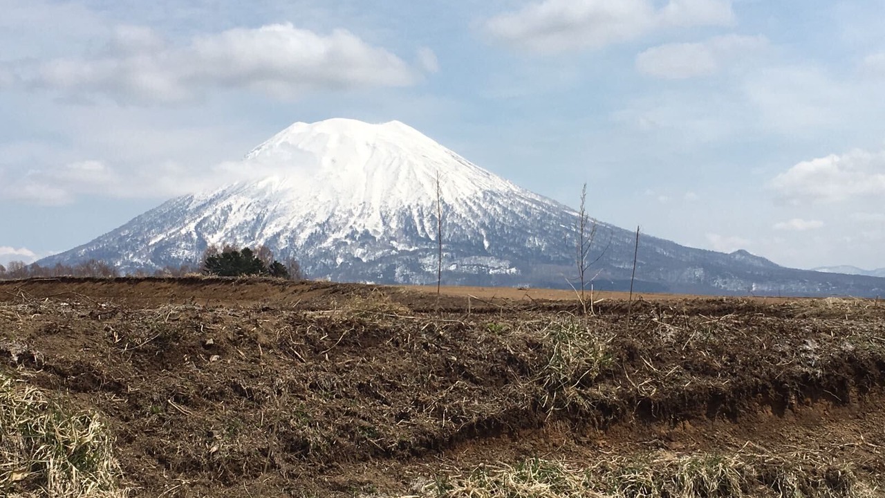 Photo of Others in Niseko