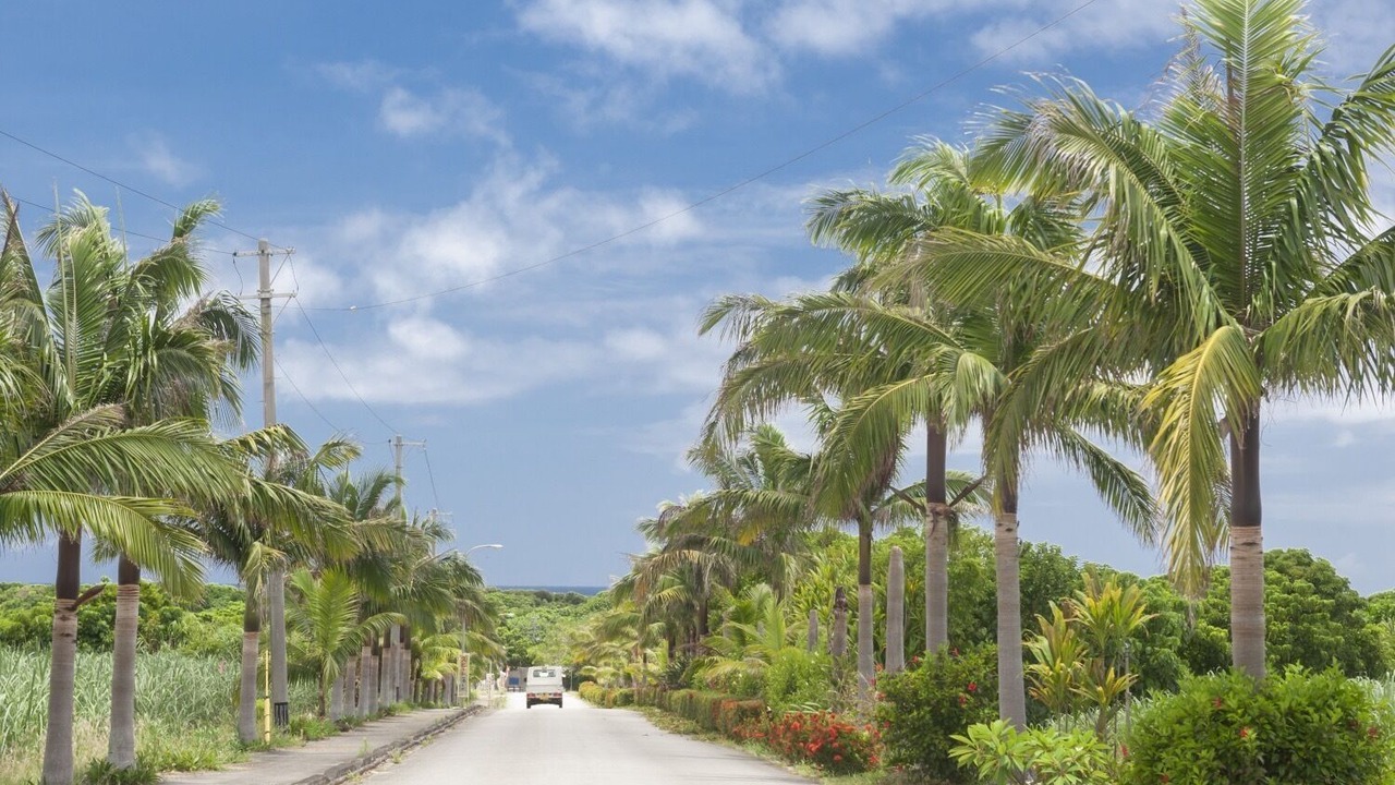 Photo of Outdoor in Ishigaki