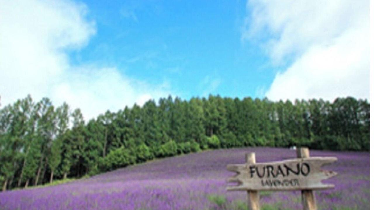 Photo of Outdoor in Asahikawa