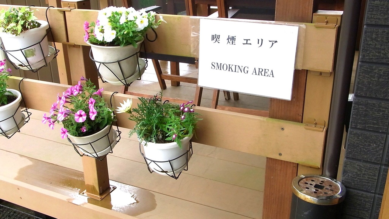 Photo of Others in Hakone