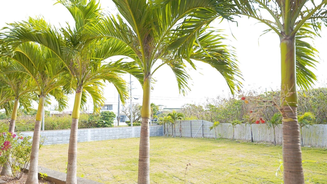 Photo of Outdoor in Miyakojima