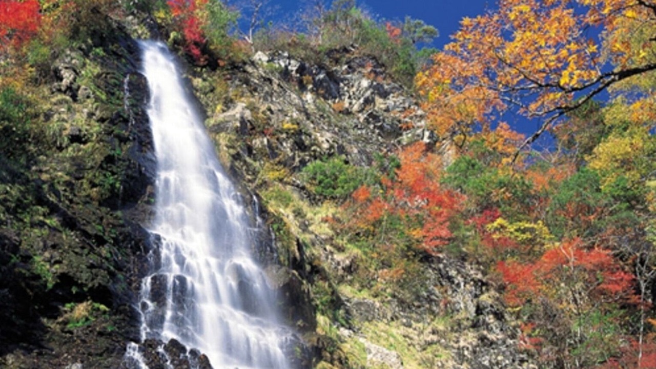 Photo of Outdoor in Yoka