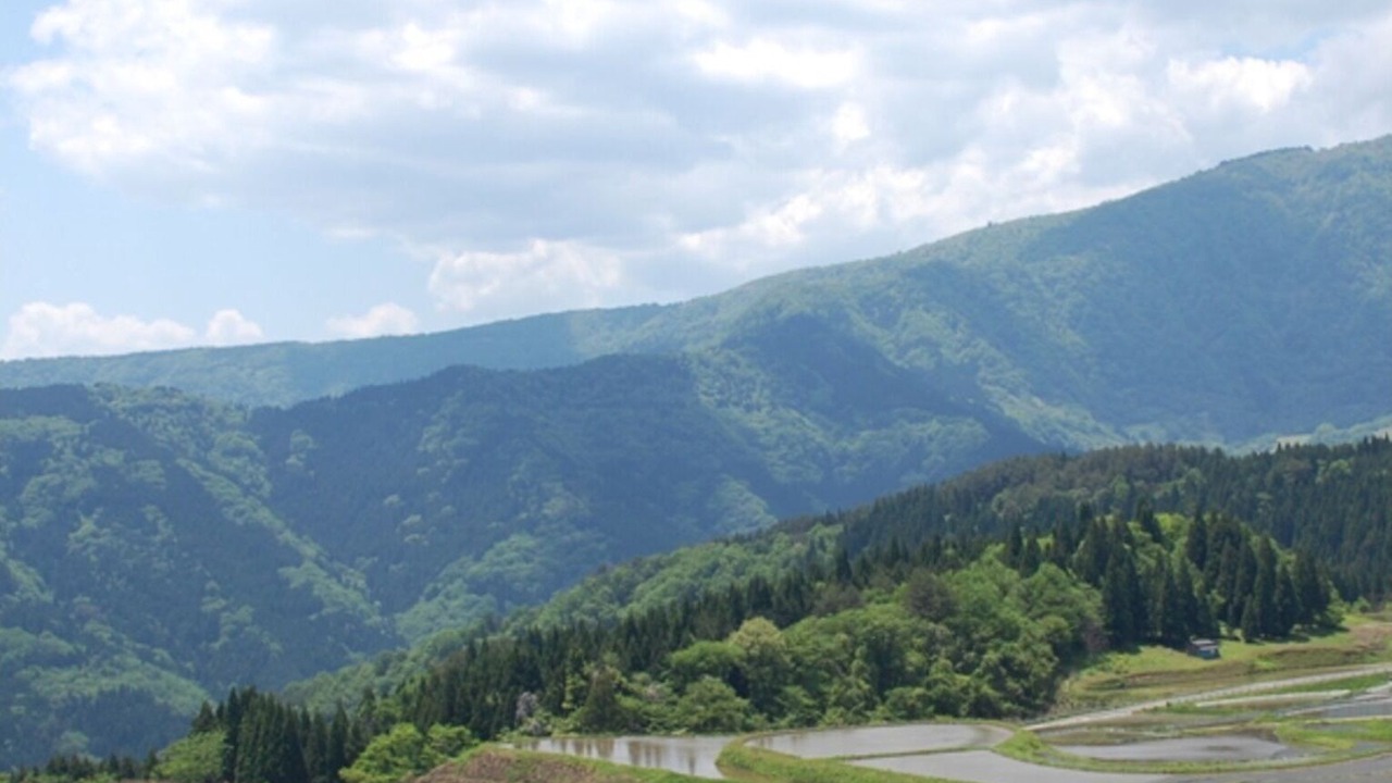 Photo of Outdoor in Yoka