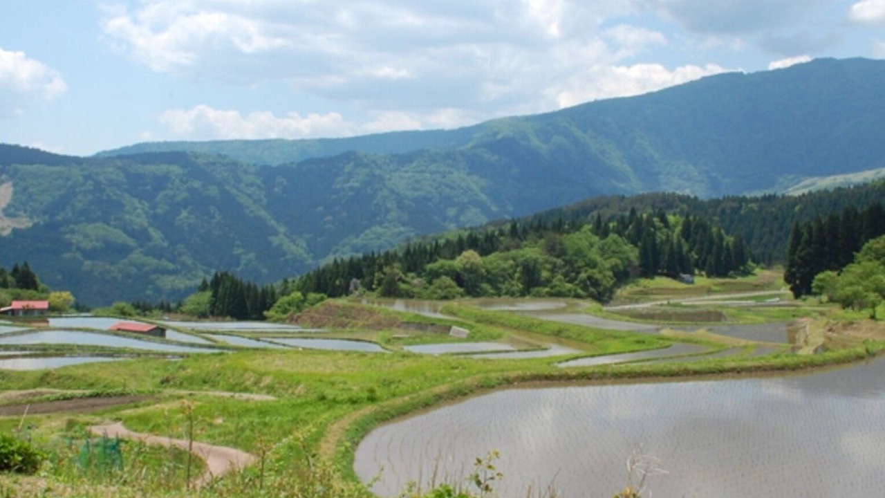 Photo of Outdoor in Yoka