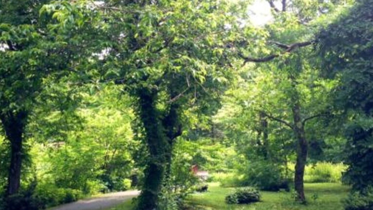 Photo of Outdoor in Yoka