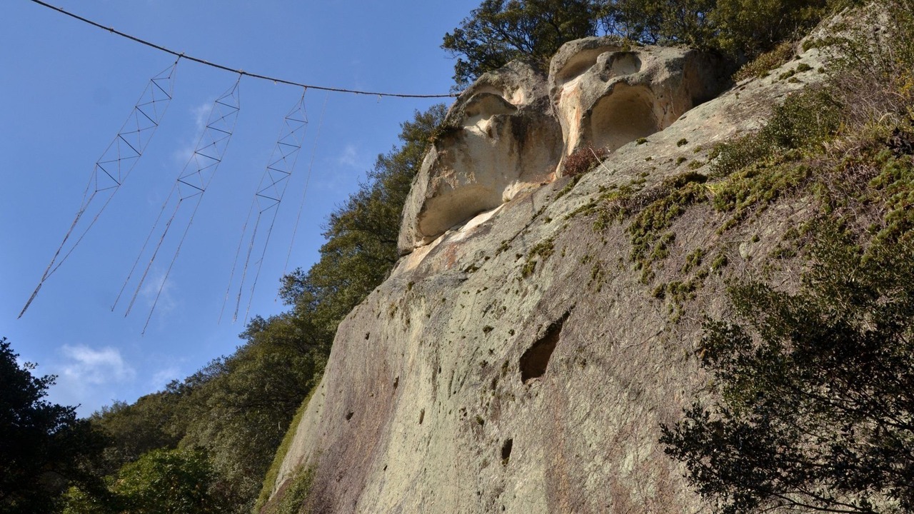 Photo of Others in Kumano