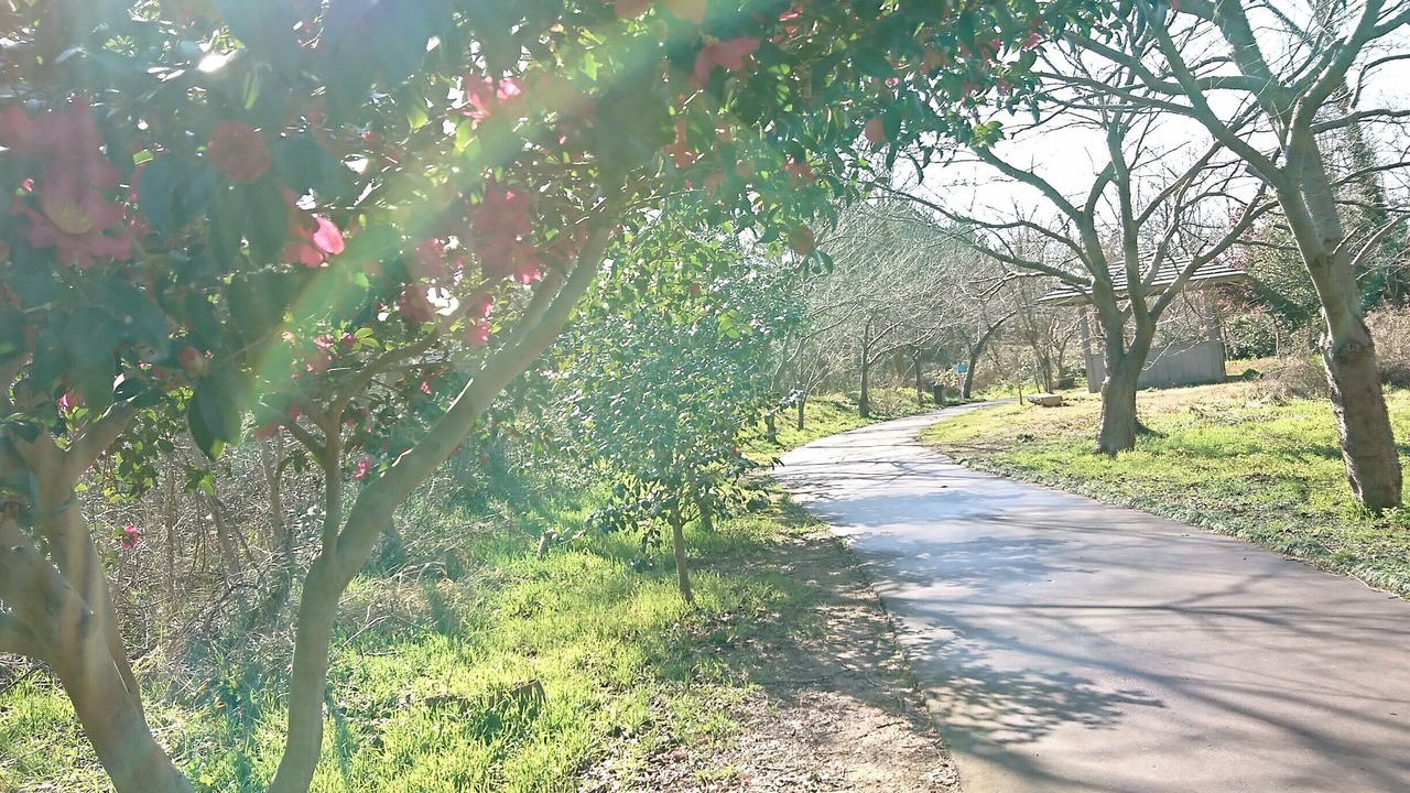 Photo of Outdoor in Uchinada