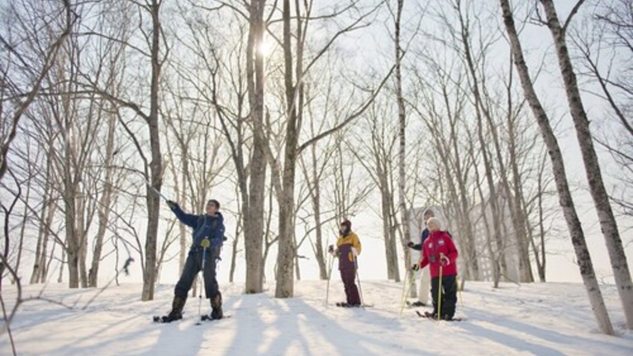 Photo of Outdoor in Rusutsu
