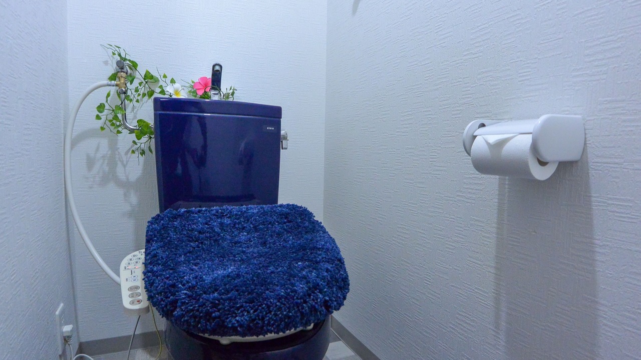 Photo of Bathroom in Toyohira