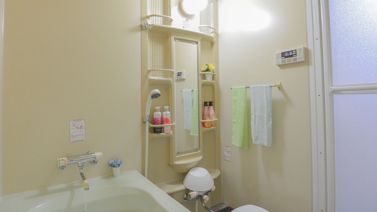 Photo of Bathroom in Toyohira