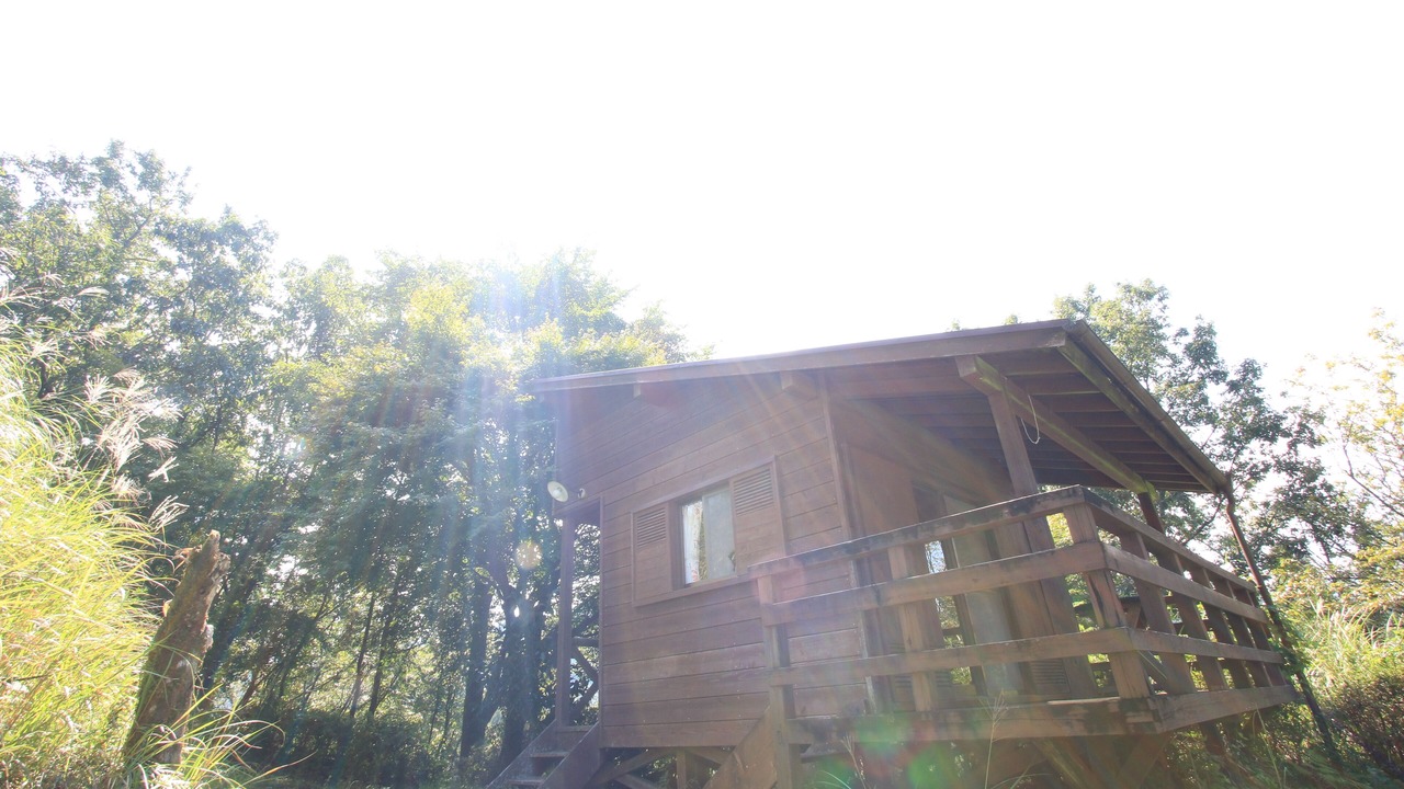 Photo of Bedroom in Gokase