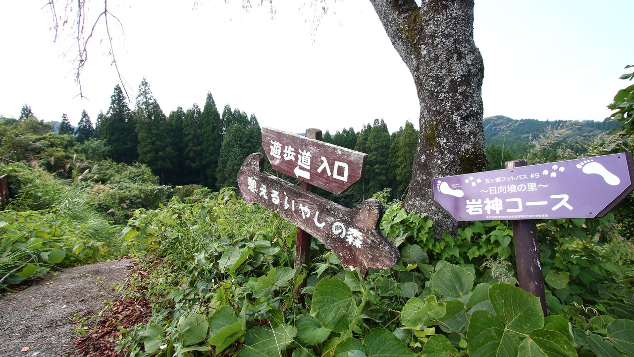 Photo of Outdoor in Gokase
