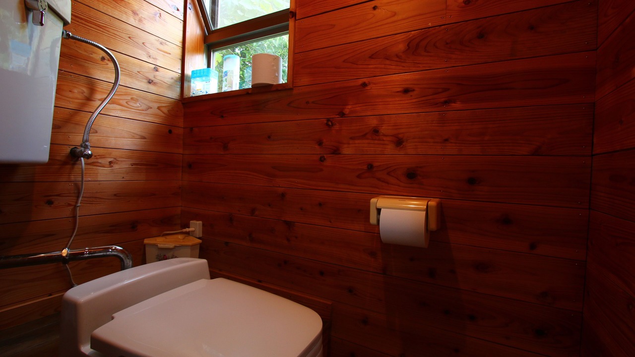 Photo of Bathroom in Gokase