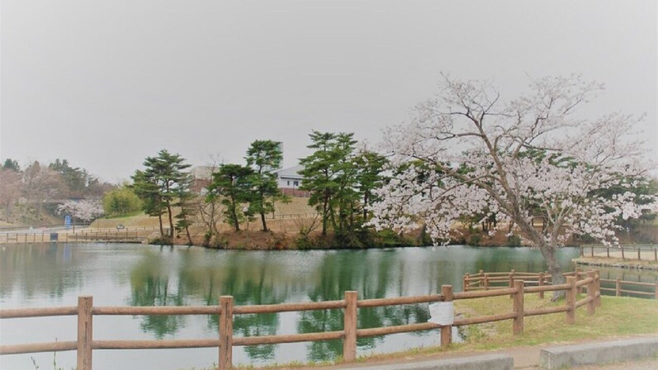 Photo of Others in Hirono