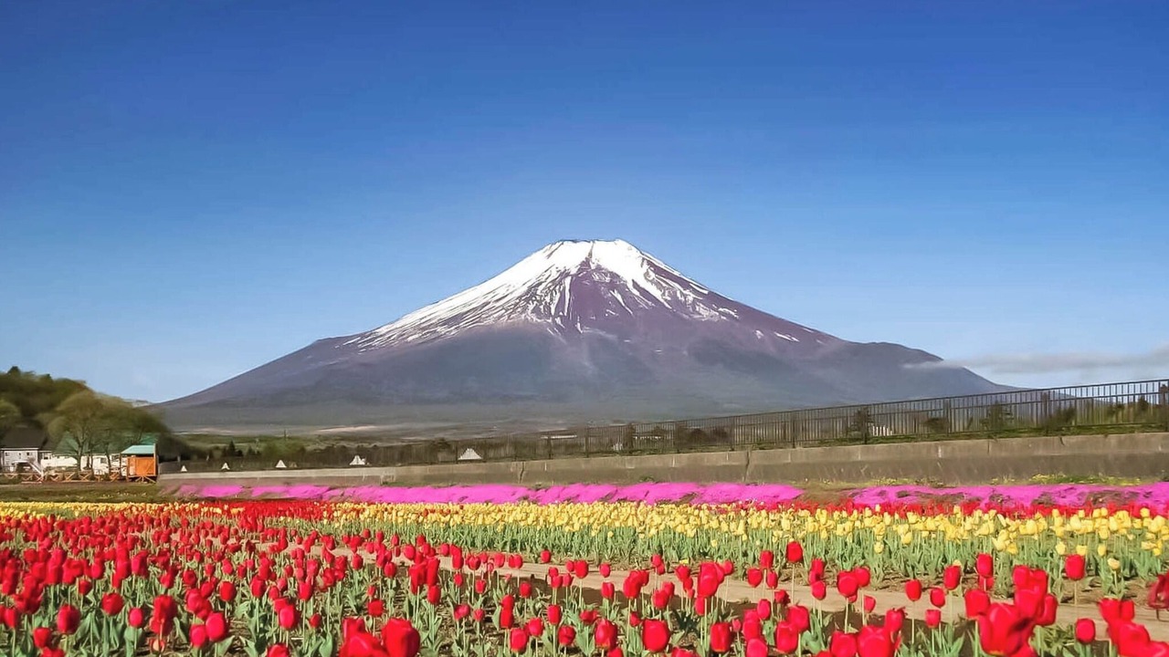 Photo of Others in Yamanakako