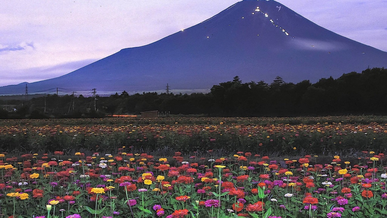 Photo of Others in Yamanakako