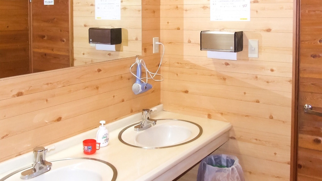 Photo of Bathroom in Yamanakako