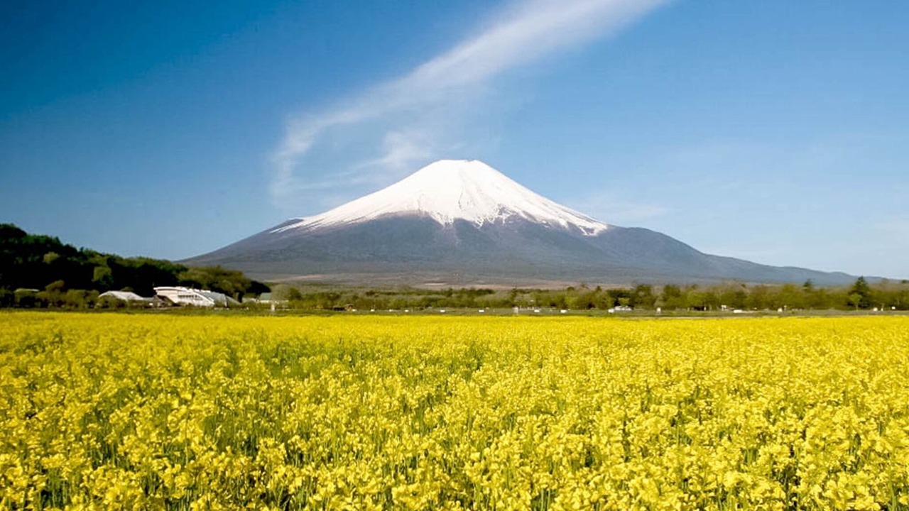 Photo of Others in Yamanakako