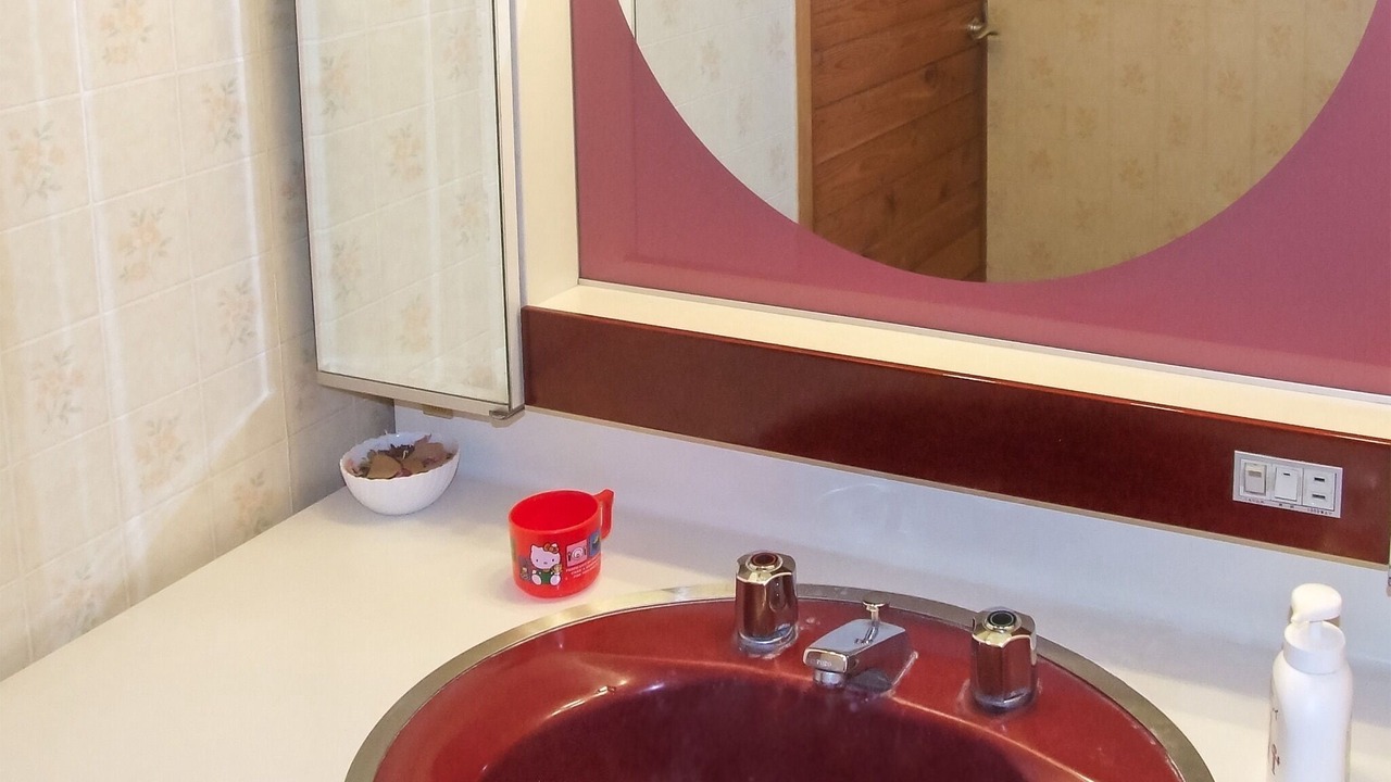 Photo of Bathroom in Yamanakako