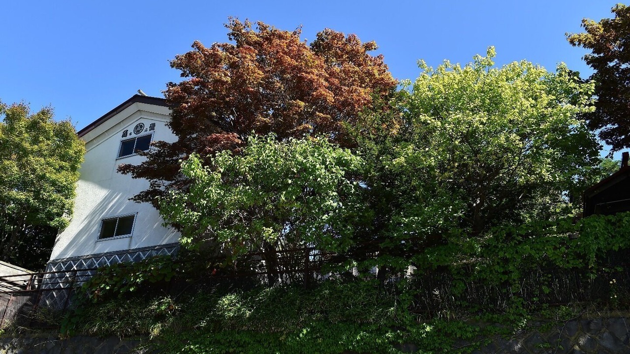 Photo of Others in Otaru