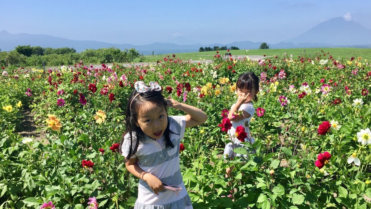 Photo of Outdoor in Toyako