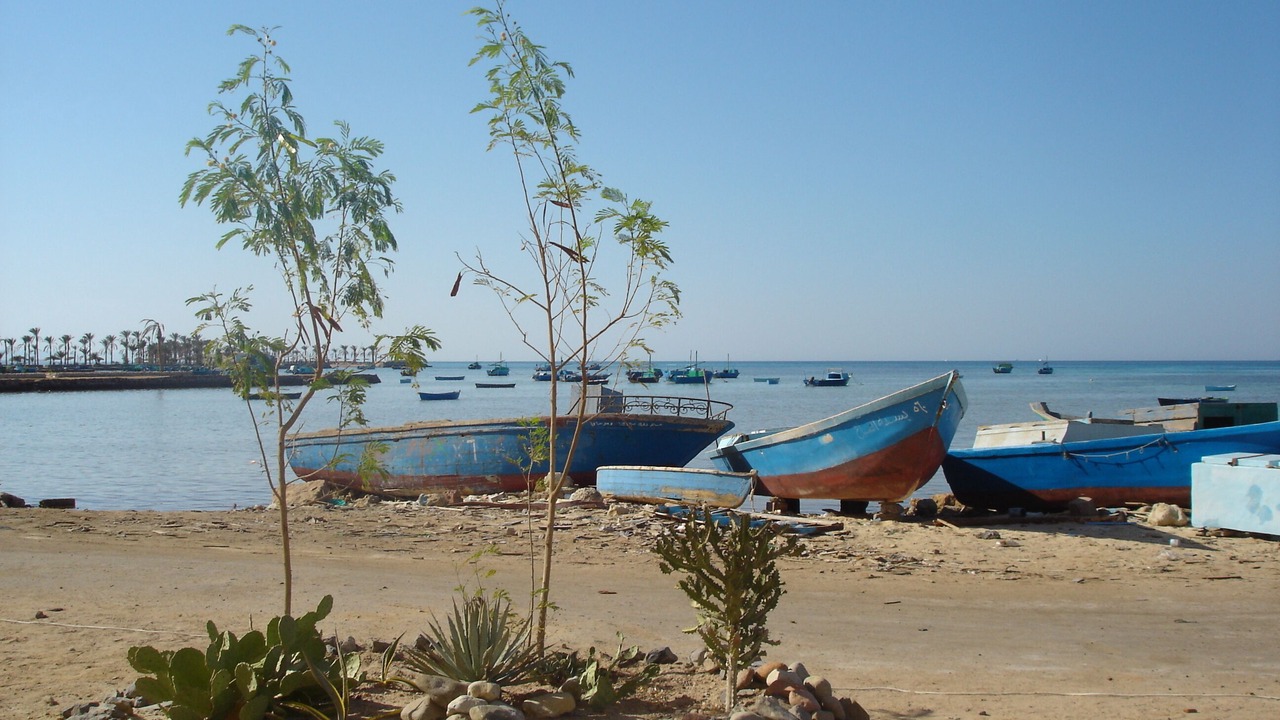 Photo of Others in Al Mamsha El Seyahi
