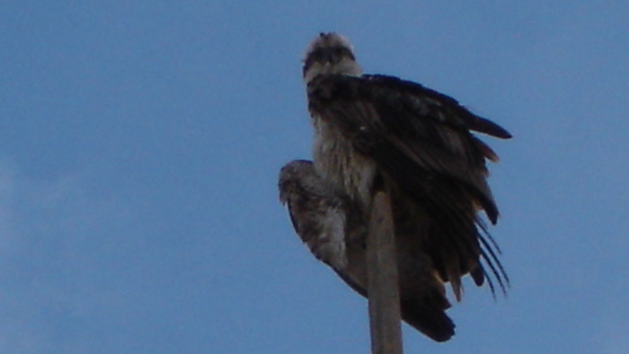 Photo of Outdoor in Al Mamsha El Seyahi