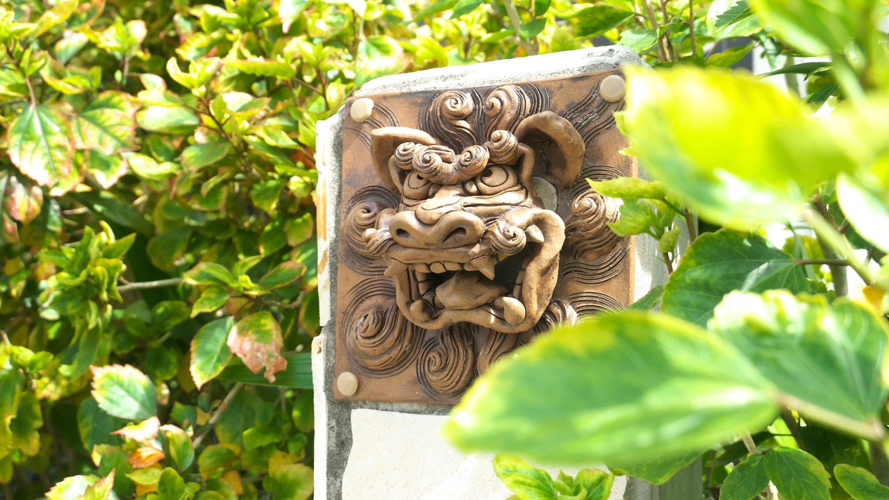 Photo of Outdoor in Okinawa