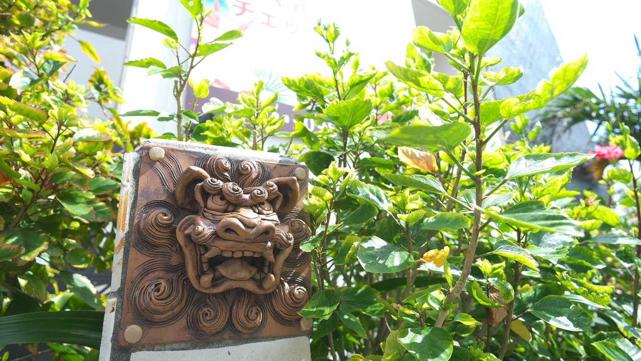 Photo of Outdoor in Okinawa