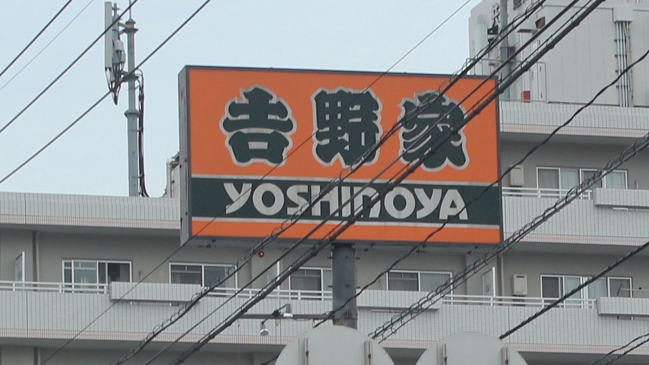 Photo of Outdoor in Kasuga