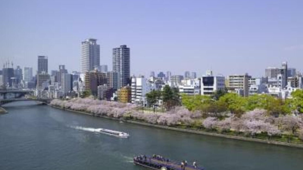 Photo of Others in Chuo