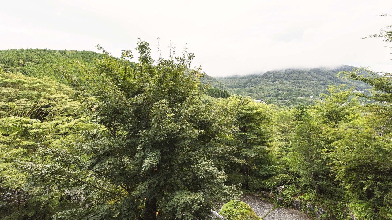 Photo of Bedroom in Hakone