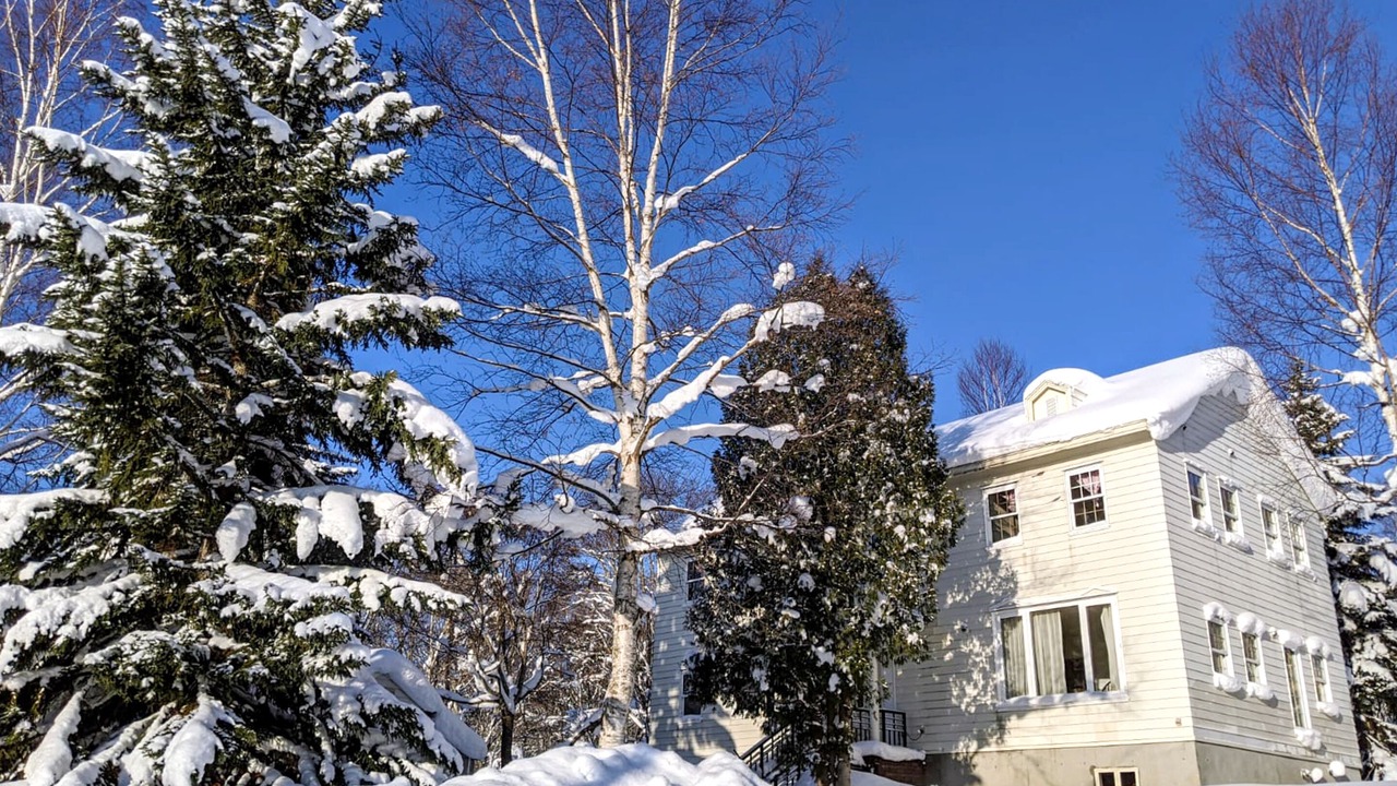 Photo of Outdoor in Niseko