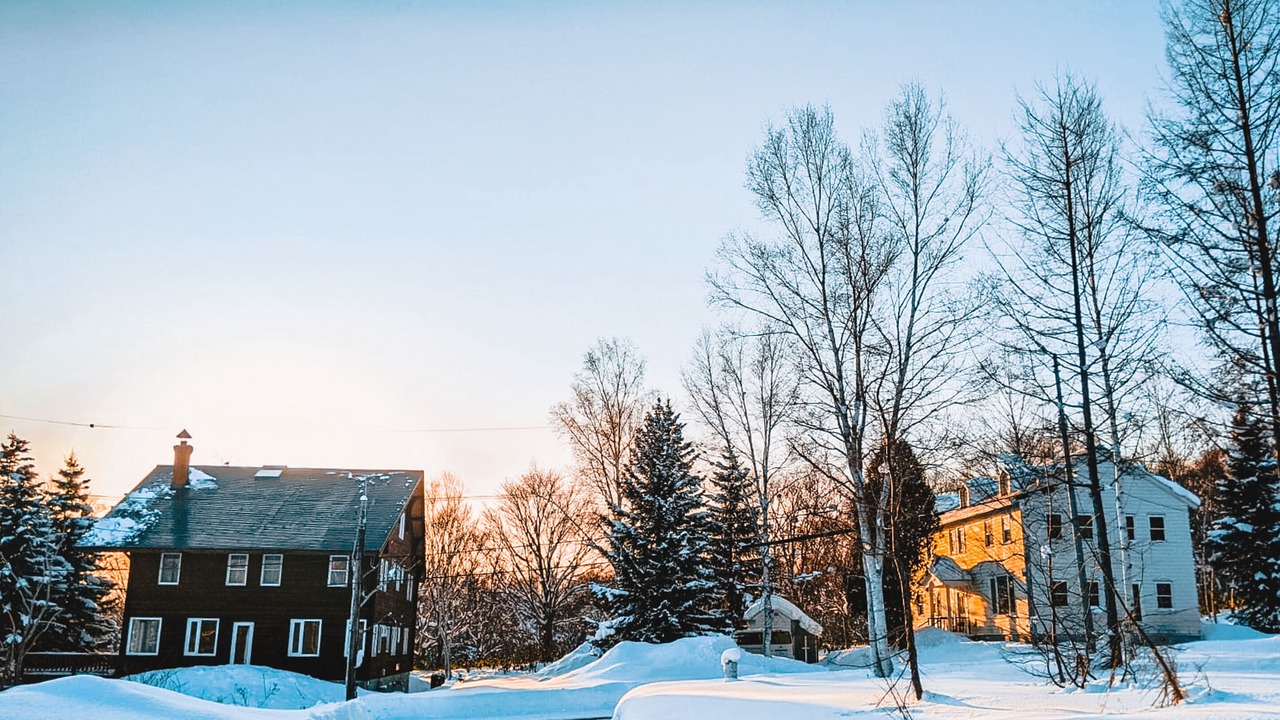 Photo of Outdoor in Niseko
