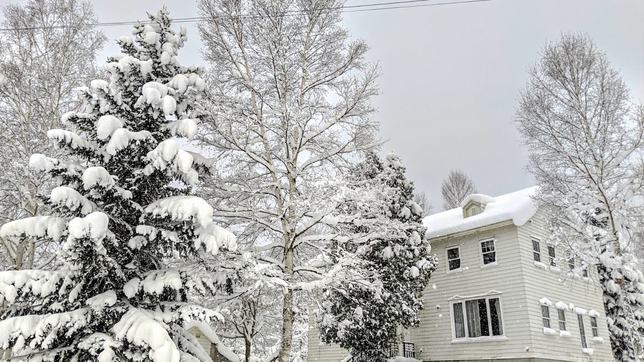 Photo of Outdoor in Niseko