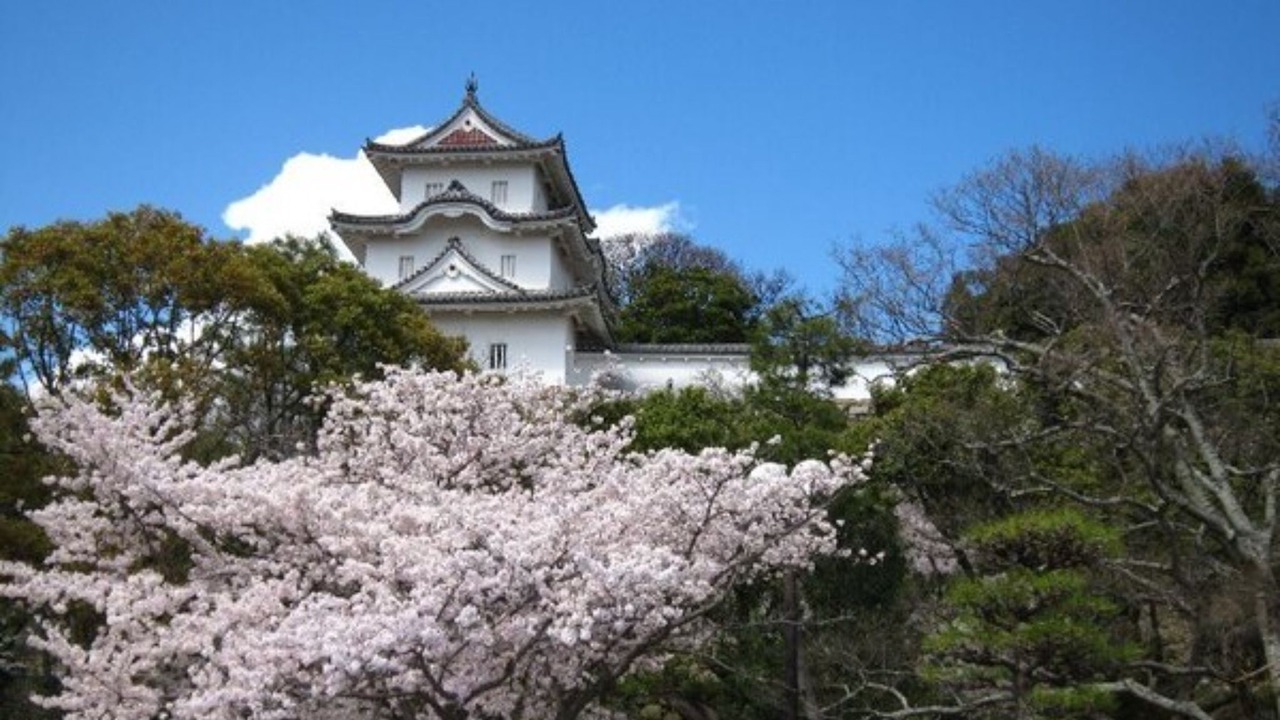 Photo of Outdoor in Akashi