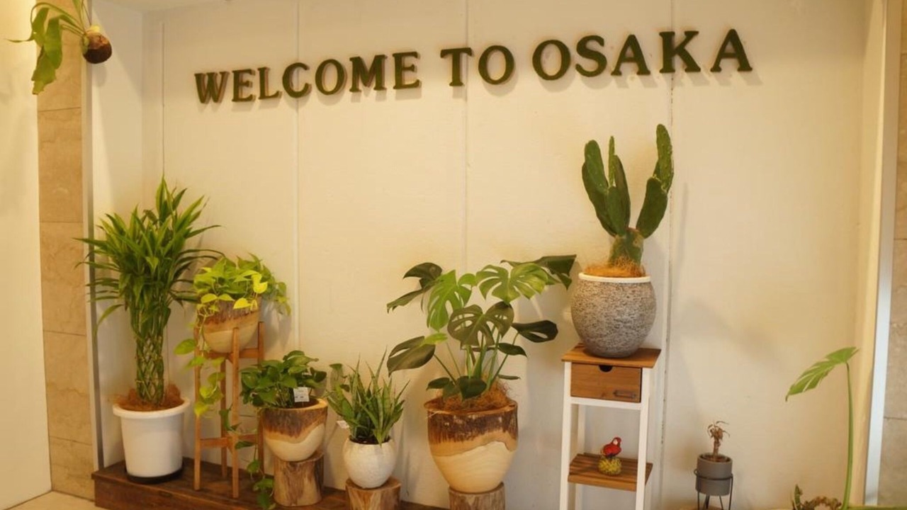 Photo of Others in Dotonbori
