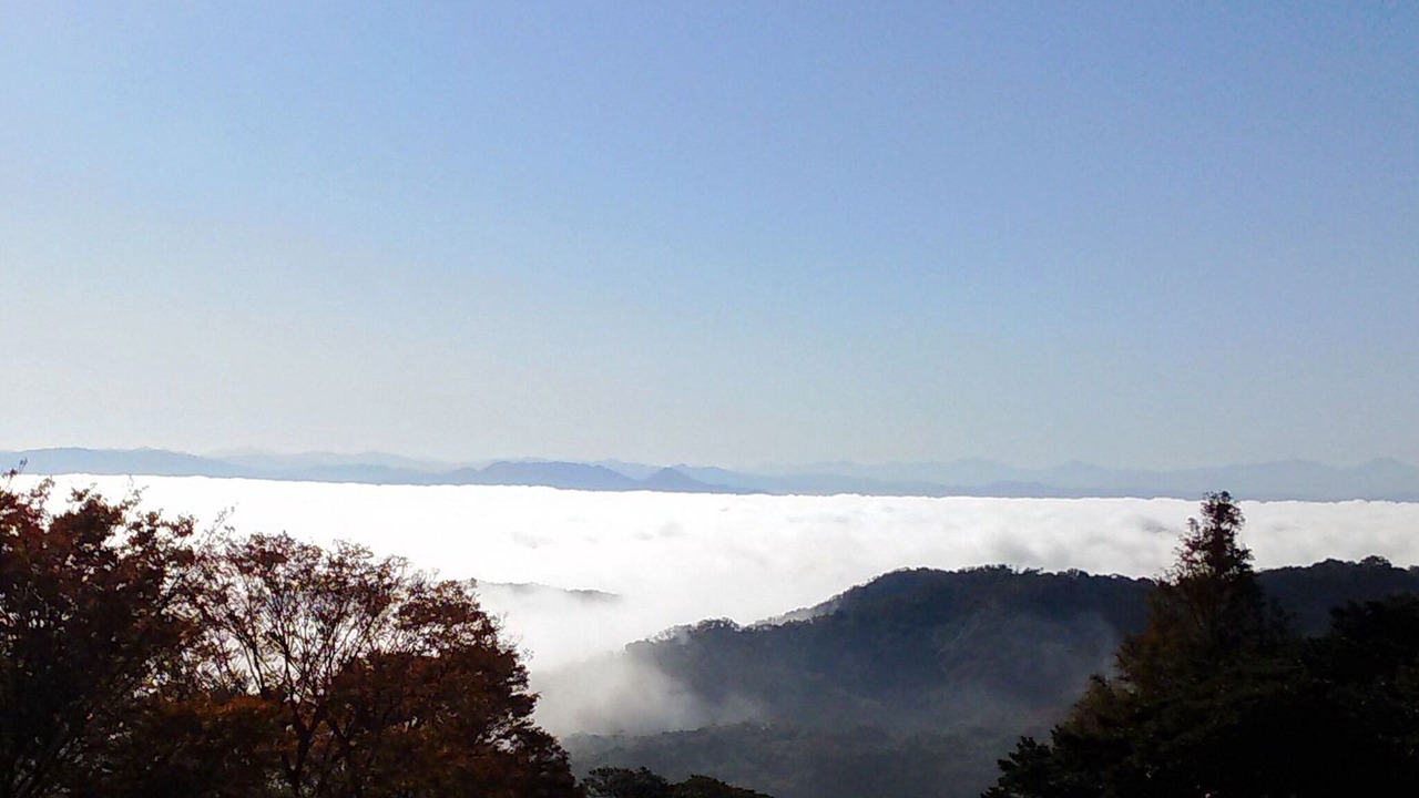 Photo of Others in Izumo
