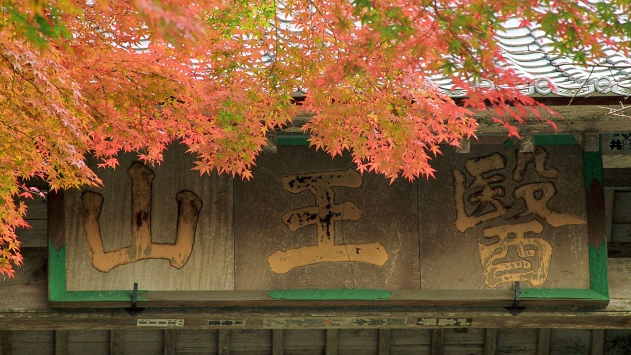 Photo of Others in Izumo